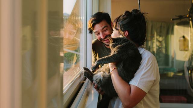young-couple-and-cat-4848442.jpg young couple and cat