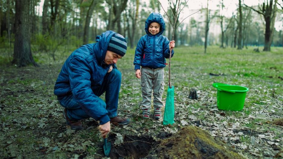 young boy and his father planting new tree in spring outdoors in forest